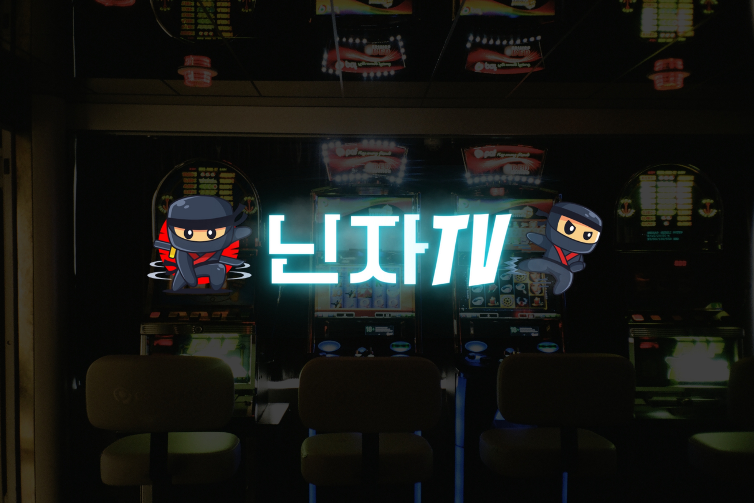 닌자티비 접속이 안될 때 해결방법 총정리